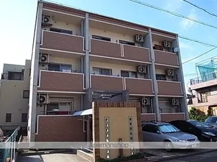 アルビレオの画像