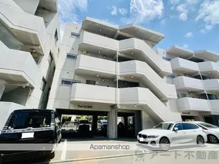 フォーエバー1の画像