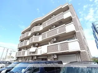 クラーレ錦の画像