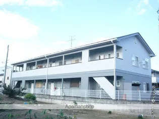 グランデ森の画像