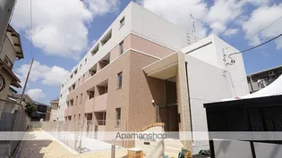 プリムローズ51の画像