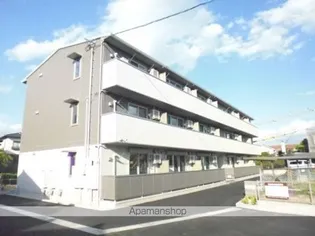 プリムローズの画像