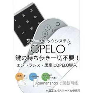 東京都中野区南台1丁目【マンション】の間取り