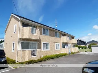 カリーノの画像