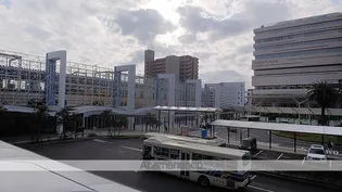 サーパス中央公園【4階】の周辺