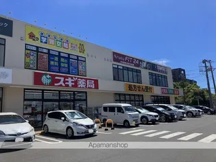 ブラサムハイツ【2階】の周辺