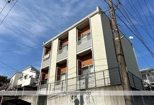 レオネクストトレジャー夏山の画像