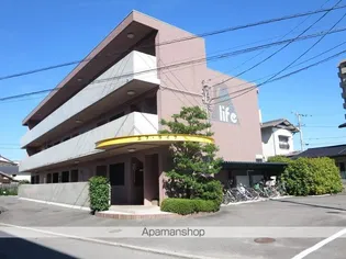 エフライフの画像