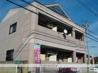 千葉県松戸市古ケ崎4丁目【アパート】の外観