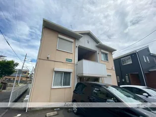 エーデルワイスの画像