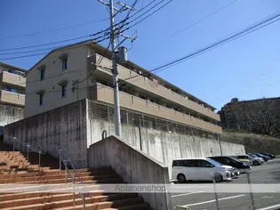 スプリングフォレスト Bの画像