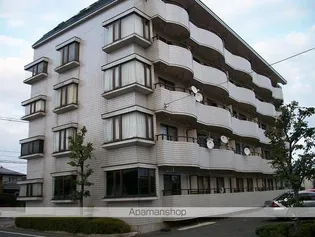 スカイコートの画像