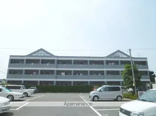 パールシャインの画像