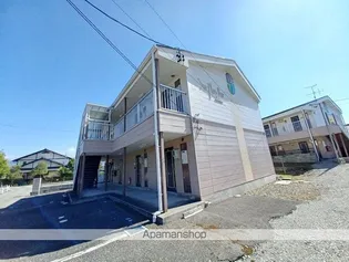 SURPLUS ONE LILASの画像