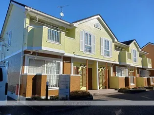 エヴァーグリーンIIの画像