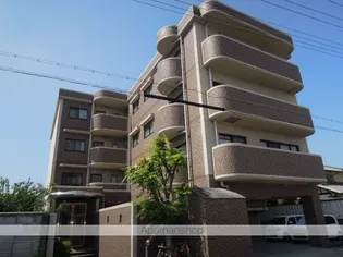 オリーブ上松の画像