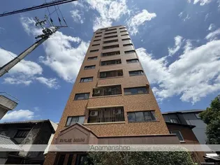 ダイアパレス中央町302号【3階】の外観