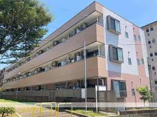 ダイワティアラ津田沼Ⅵ【3階】の外観