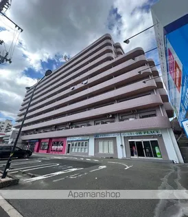 大阪府大阪市住吉区清水丘3丁目【マンション】の外観