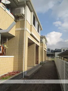 プラシードの画像