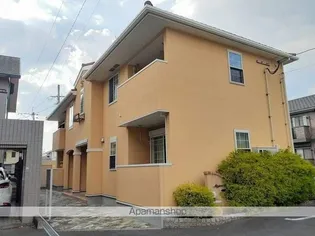 ミニヨンベルの画像