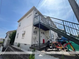 サンフラワーの画像