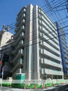 DORMOUSE FINEの画像