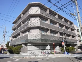 サンドリヨンゴキソの画像