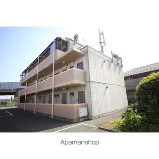 ピュアⅢの画像