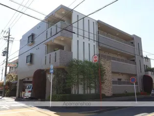 ラ ステラの画像