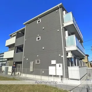 ブルームの画像