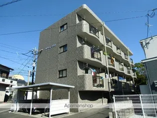クレストスカーラカクの画像