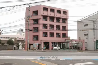 アルバトロスの画像