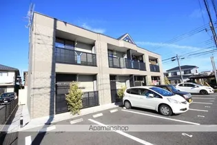 グレイシャスの画像