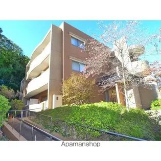 シャリテ 花澤の画像