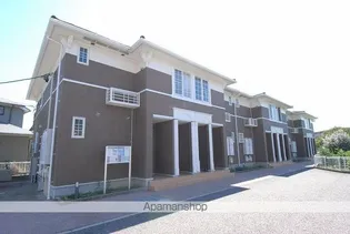 プリムラプレッソの画像