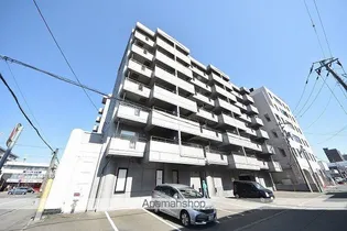 ウインザーの画像
