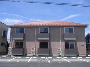 アムールの画像