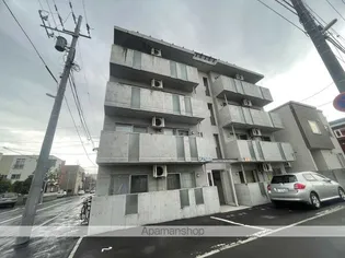 セントポーリアSOLEILの画像