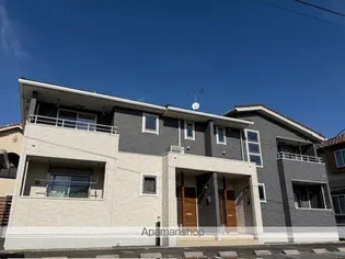 ベルボーラの画像