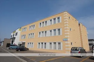 アイビーWの画像