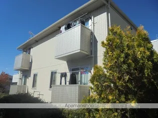 SOLEIL NAKAJIMAの画像