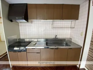 アイランドガーデン多田【202号室】のキッチン