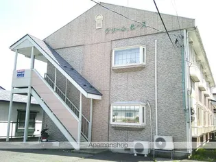 グリンピースの画像