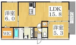 フリージア天王寺(テンノウジ)【3階】の間取り