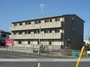 コルティーの画像