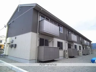 プラシードの画像