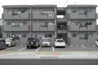 なでしこの画像