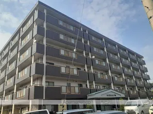 マロード月輪の画像