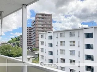 ビレッジハウス台宿4号棟【302号室】の内装